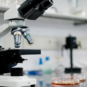 5c98bee8-1468-4e87-8007-3c605a48132c